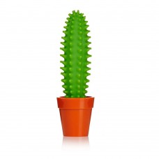Kaktus Olovka