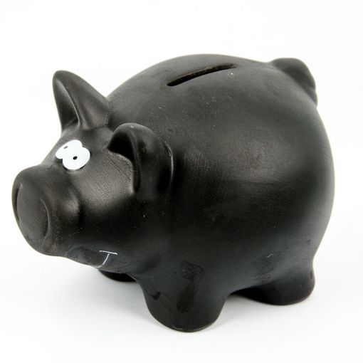 Kasica Prasica Sa Kredom V2