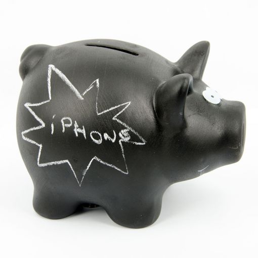 Kasica Prasica Sa Kredom V2