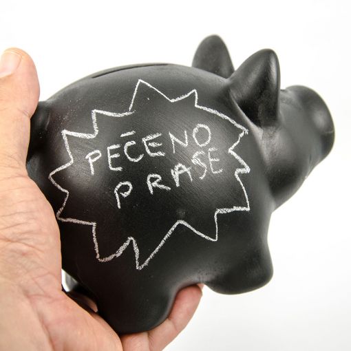 Kasica Prasica Sa Kredom V2