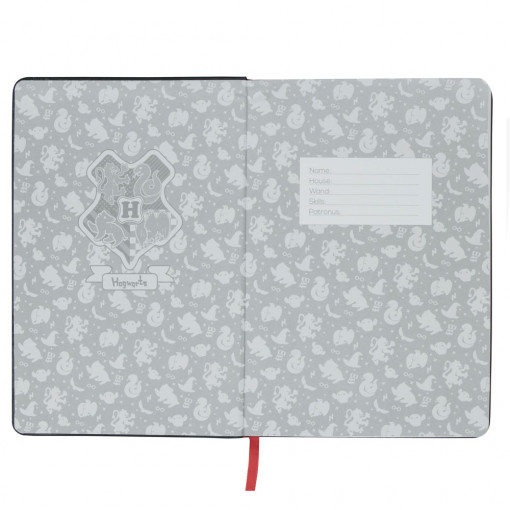 Harry Potter Dnevnik