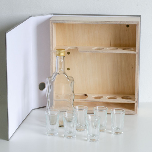 Pijani Registrator Srebrni