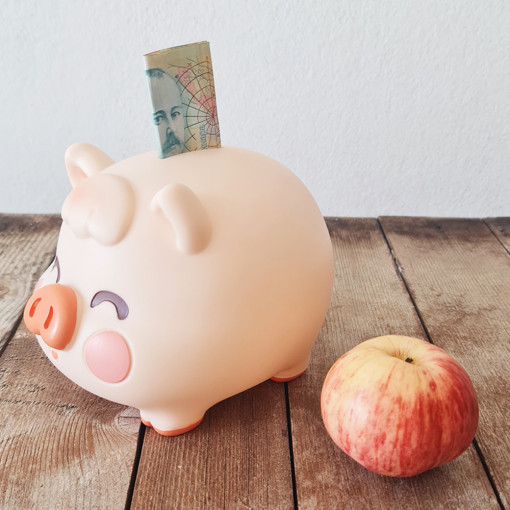 Prasulence Kasica Srednja