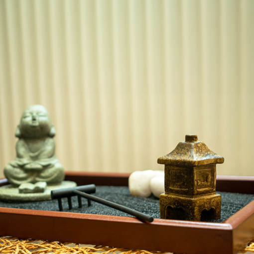 Zen Bašta Misterija Uma