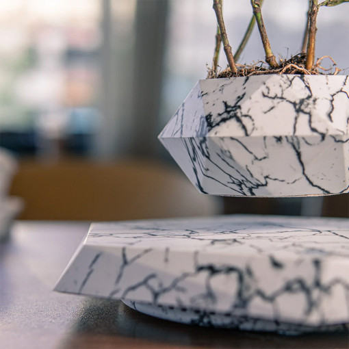 Levitirajuća Saksija